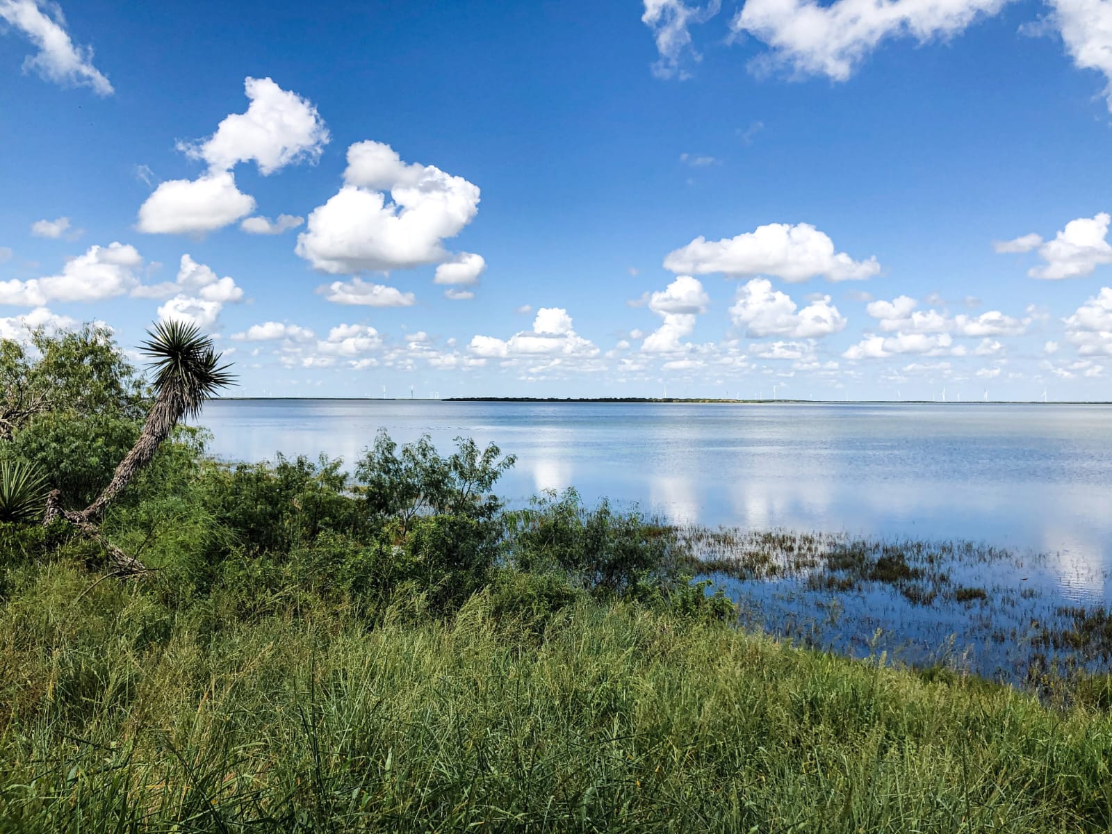 a person sitting in a yellow boat on a river