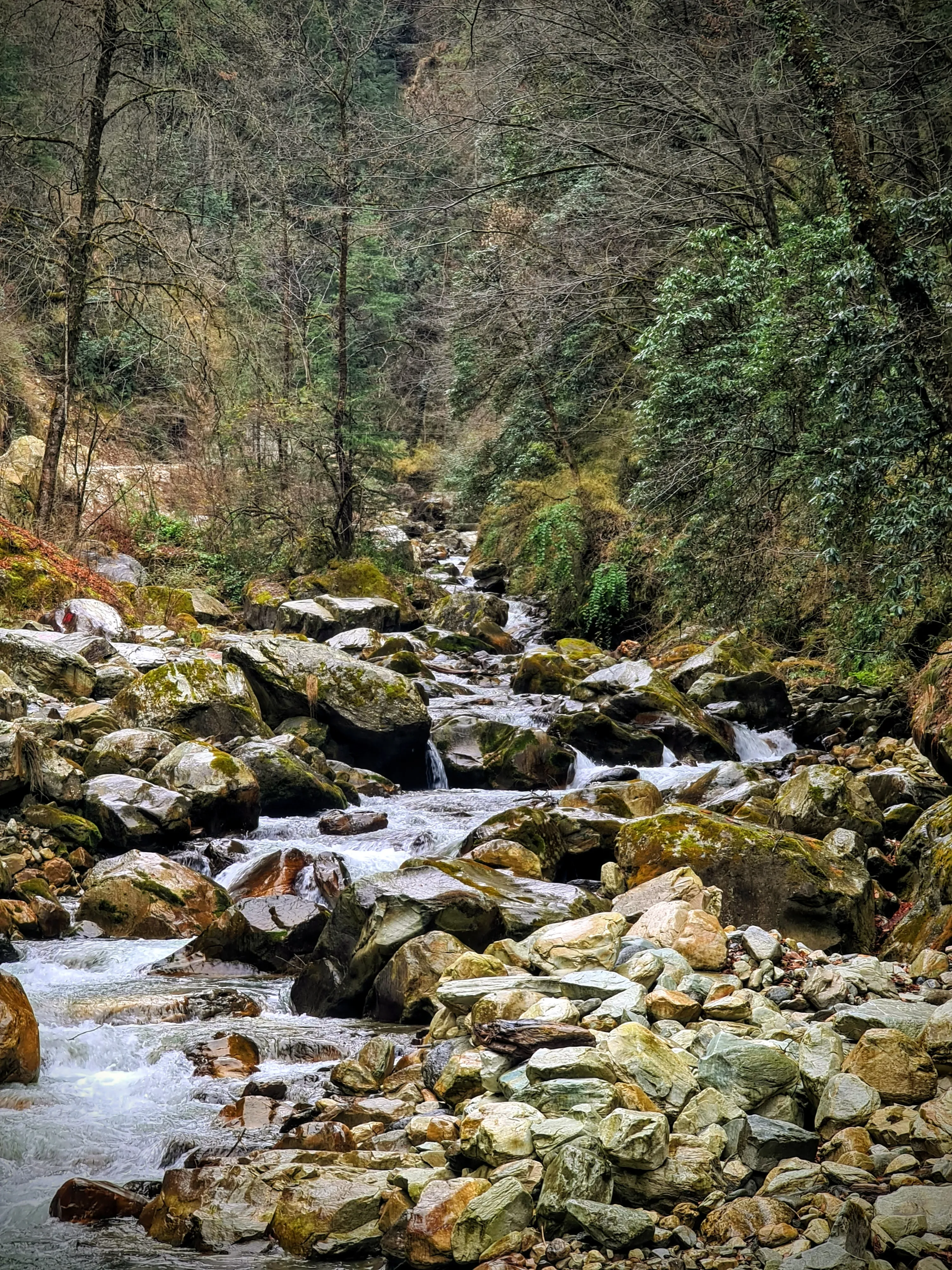 Image 8