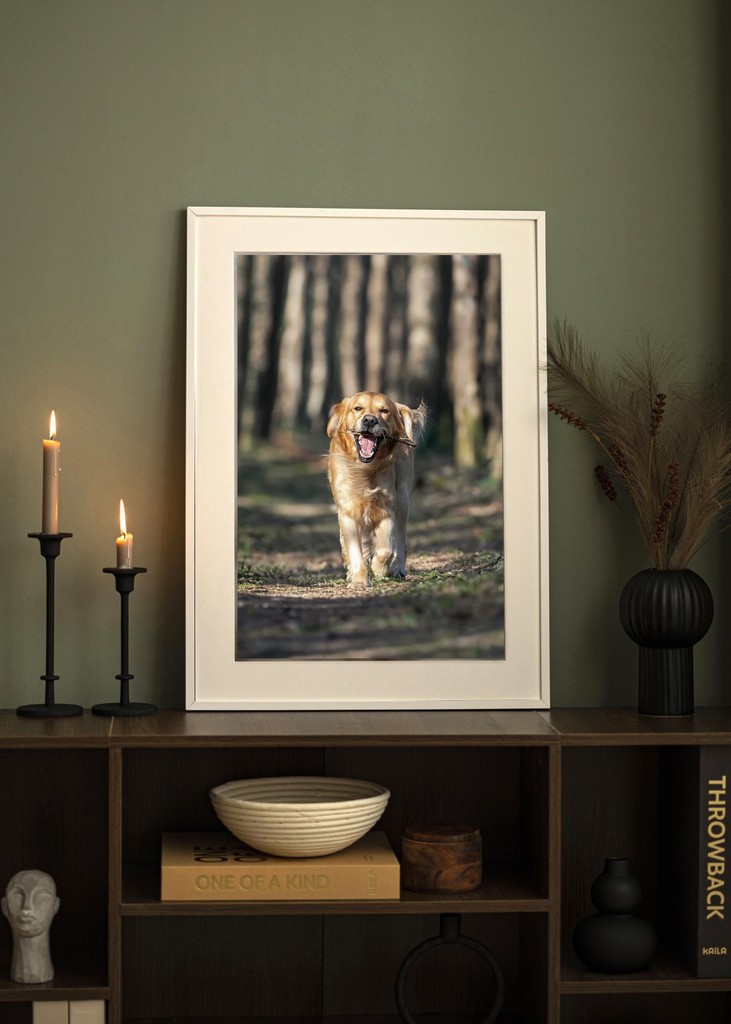 Photographer with the camera