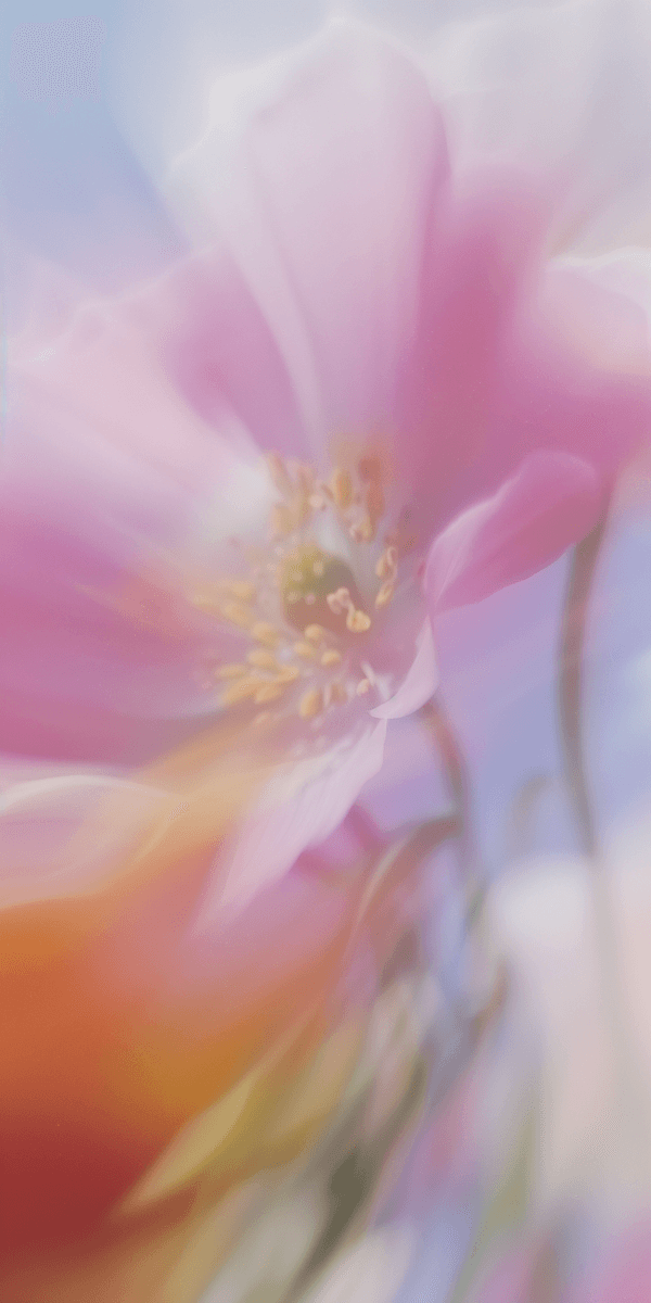 Soft abstract visual representing healthy lifestyle, balance, and daily habits