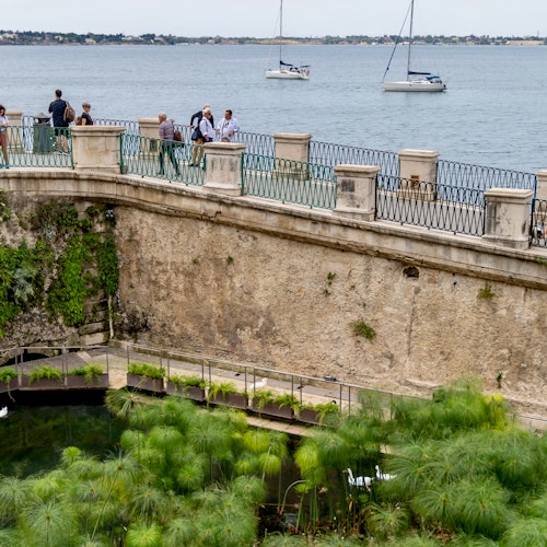 People walk along a stone promenade overlooking a body of water with sailboats. In the foreground, green plants surround a pond.