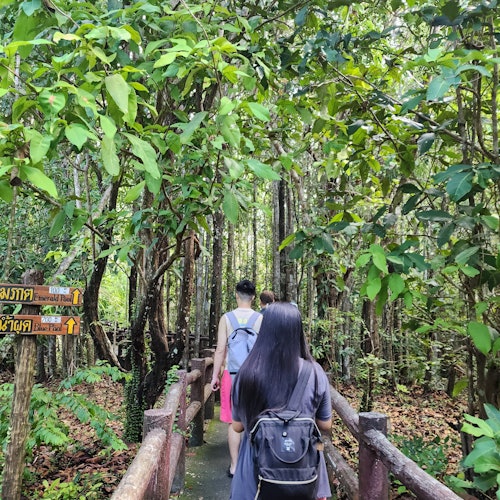 Trail going to the Emerald Pool