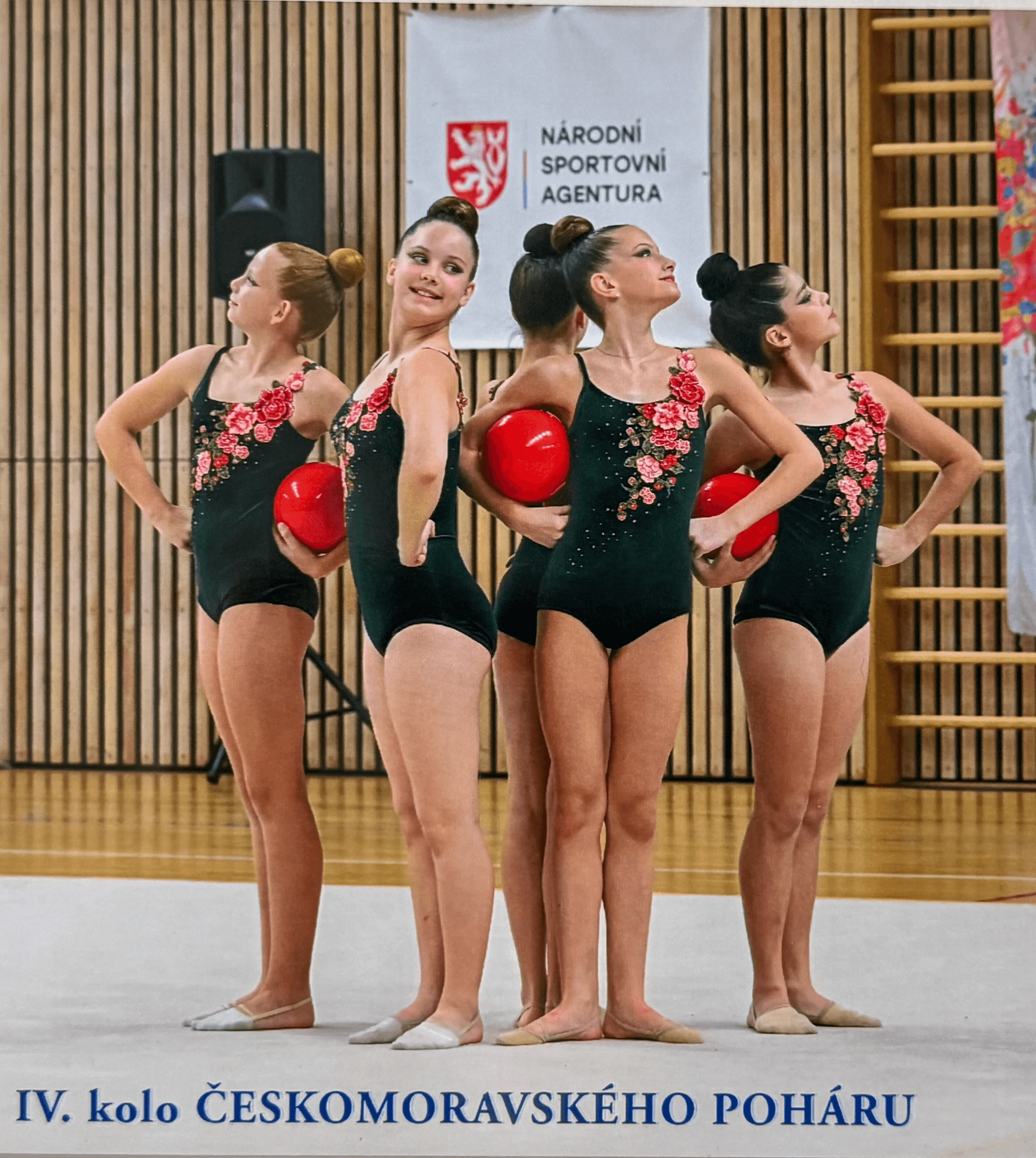 RG leotards comp