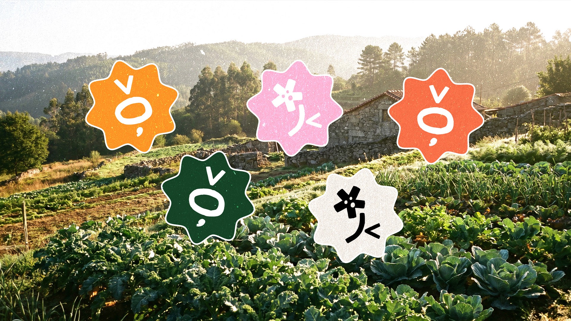 Goroot logo stickers in brand colours layered over a sunlit vegetable farm field