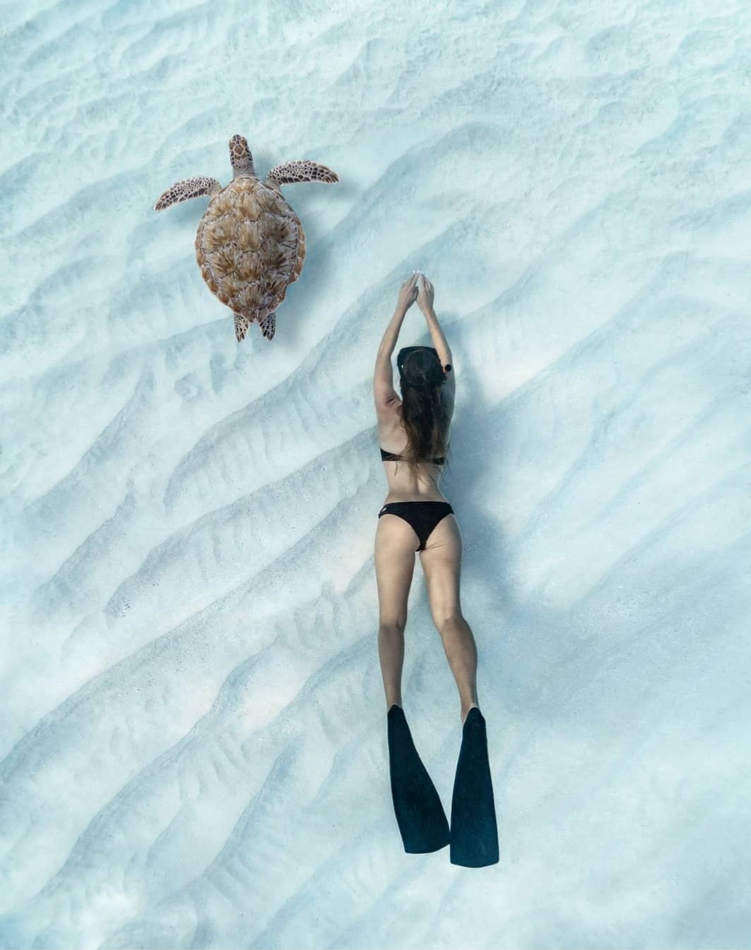 Woman snorkeling alongside a sea turtle in the crystal clear waters of Nusa Lembongan, Indonesia
