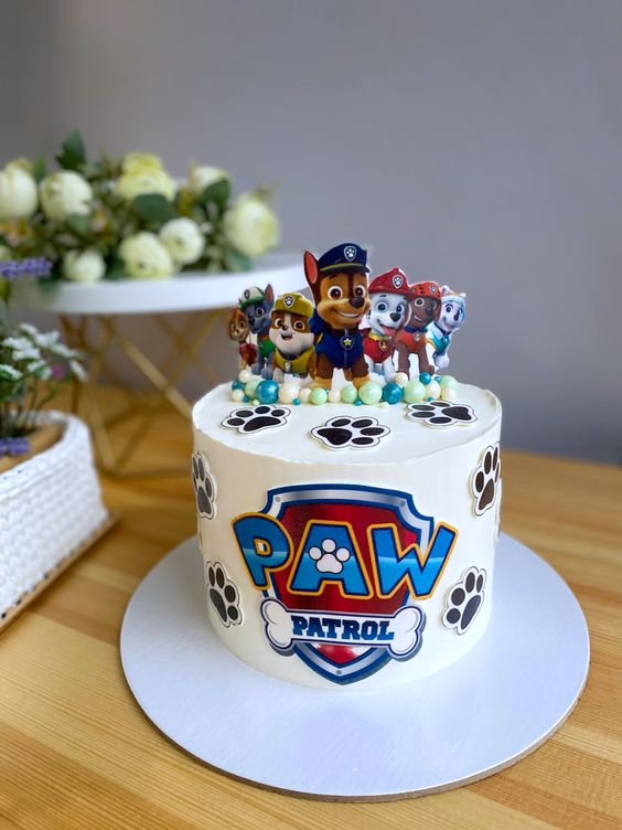 kinderfeestje paw patrol