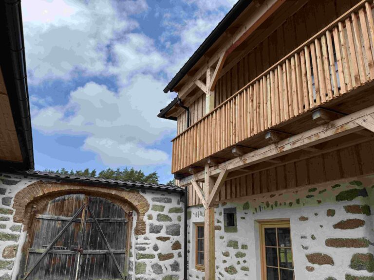 Close-up of lush, dark green leaves, some glossy and wet, against a muted background.