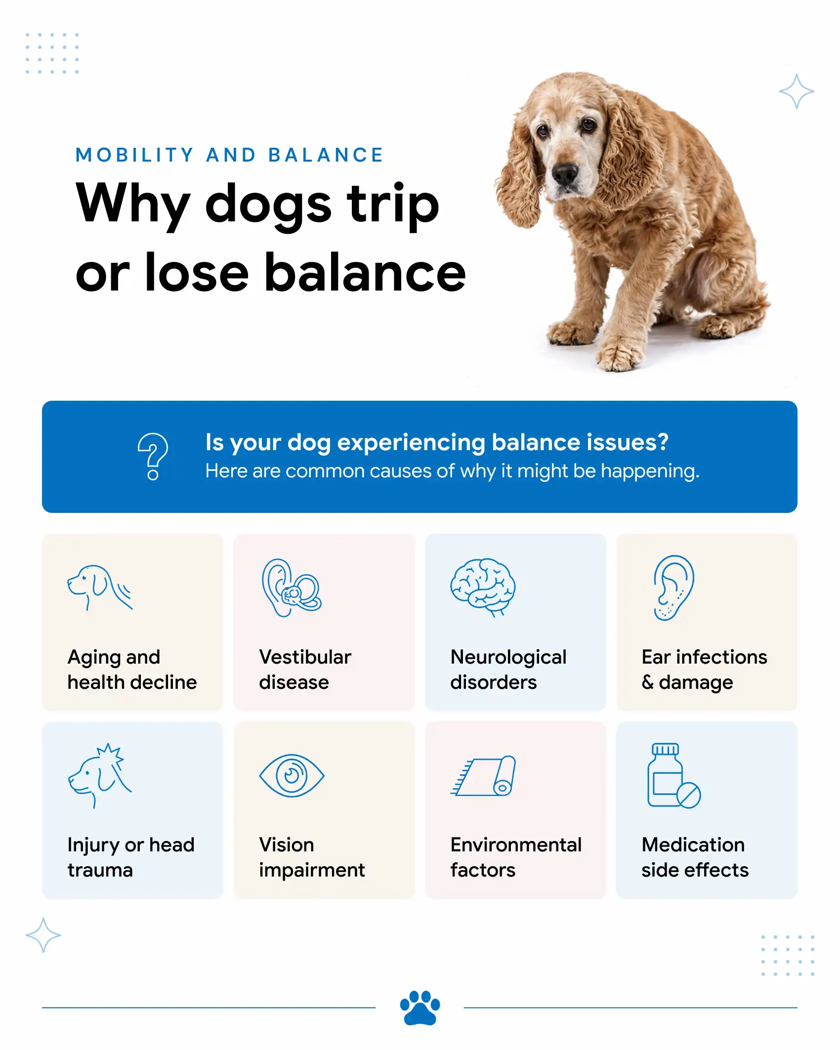 An infographic showing the common reasons why your dog keeps tripping