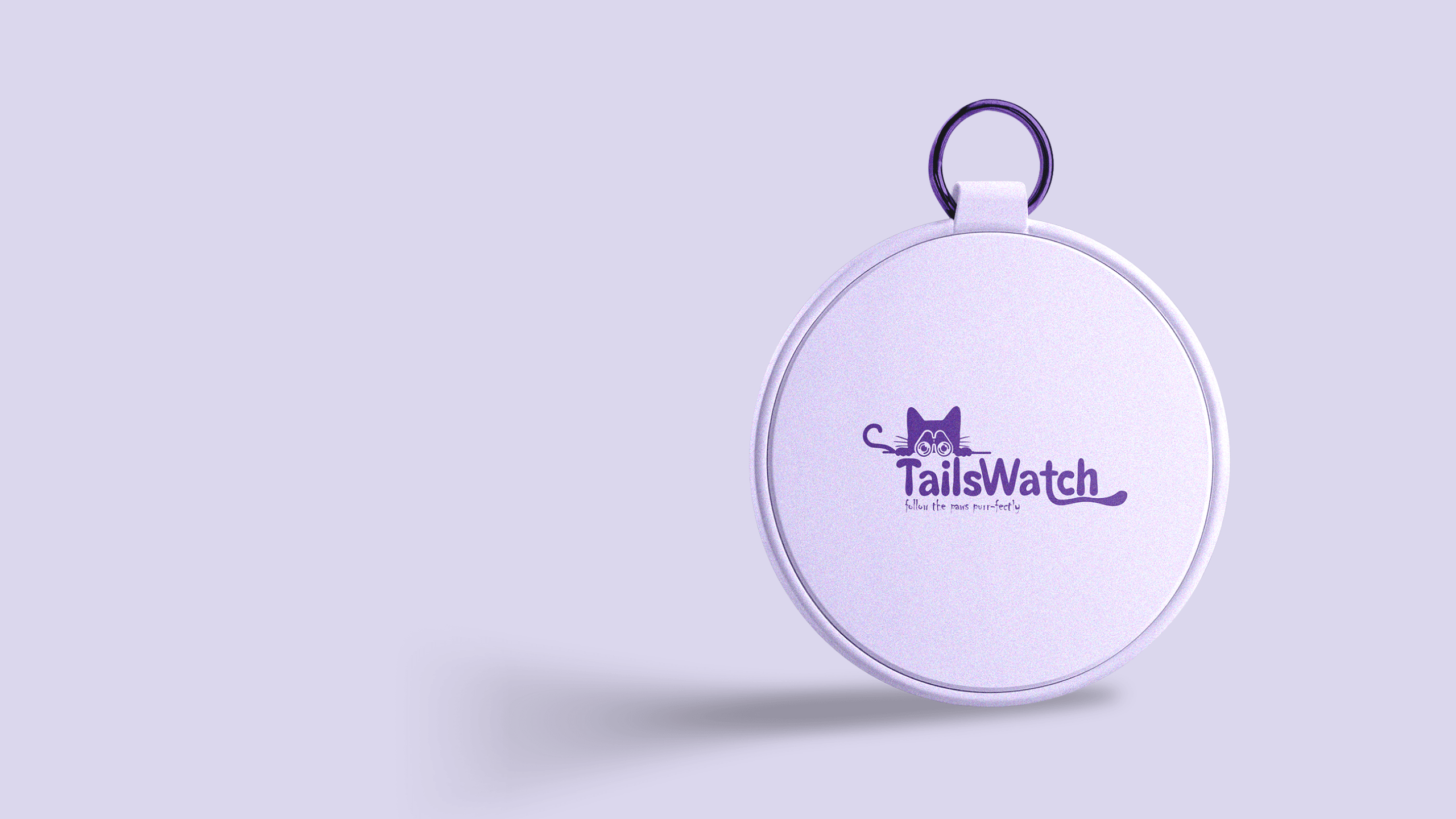 black cat on white table