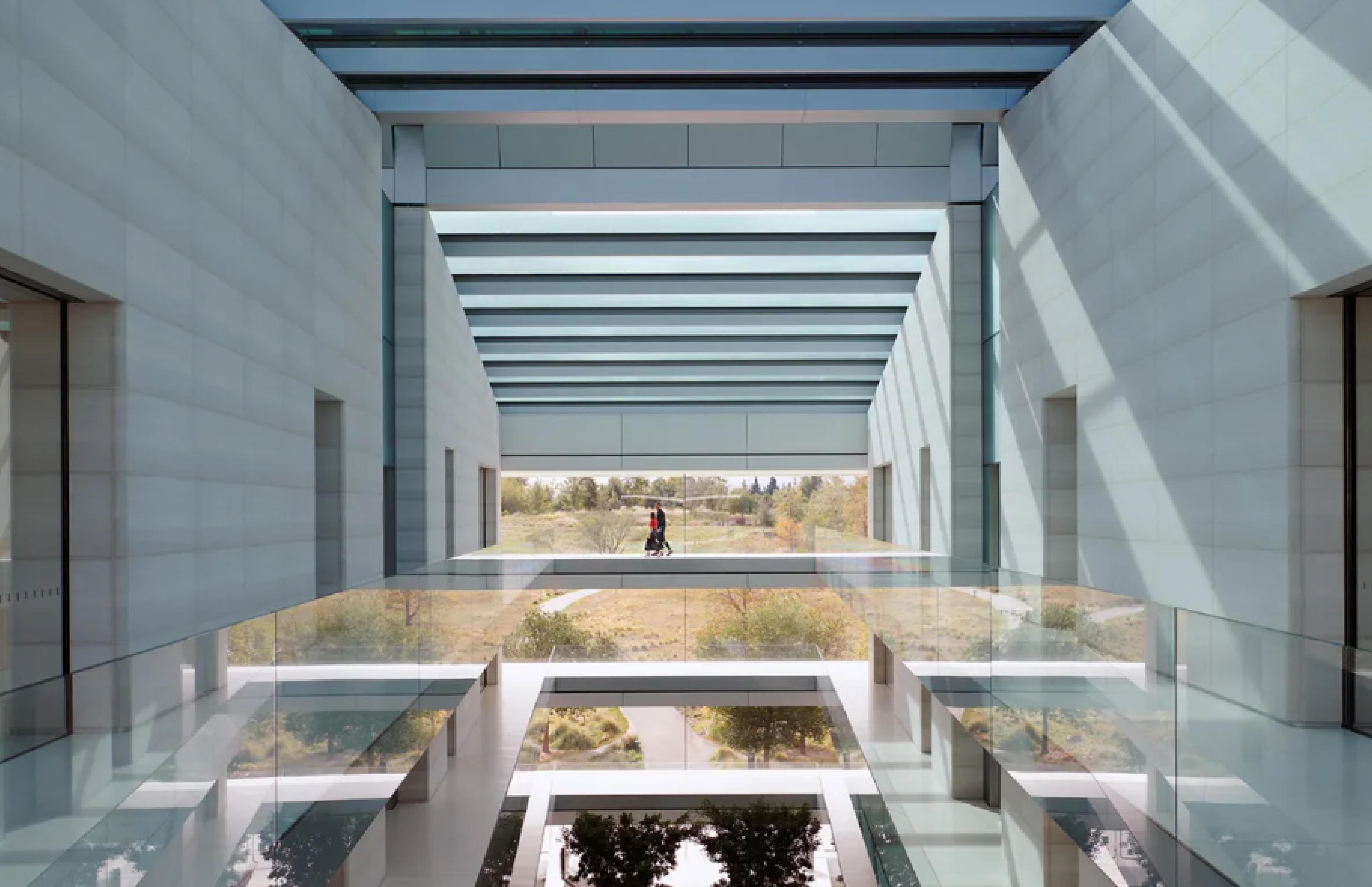 애플 파크 내부에서 바라본 바깥 전경