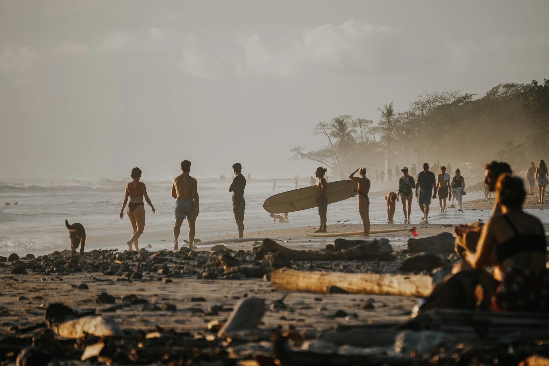Surfers and beachgoers walking along a hazy beach lined with palm trees