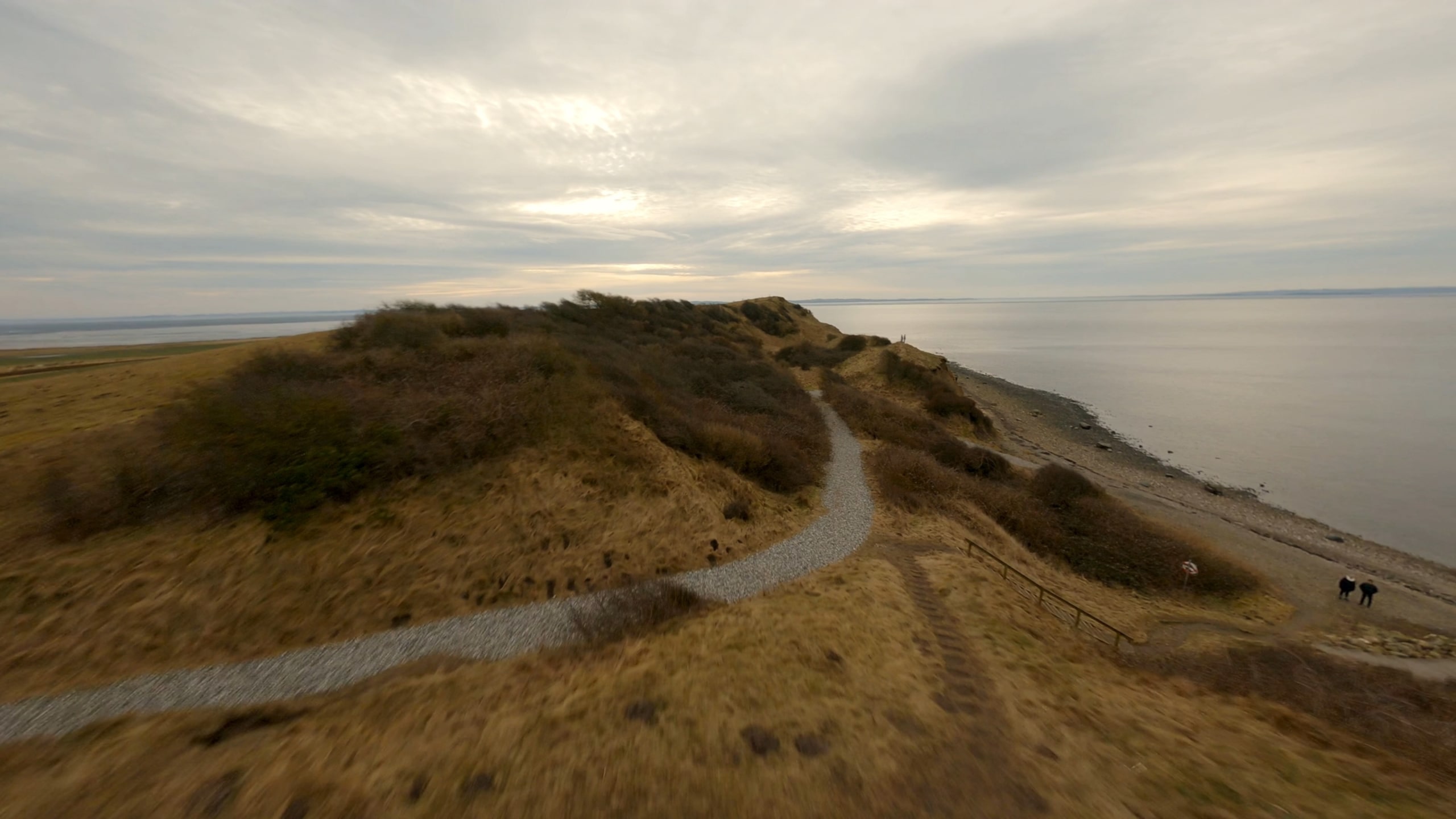 Dynamic picture of a cyclist riding downhill