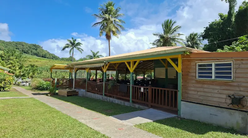 Restaurant du musée avec terrasse couverte