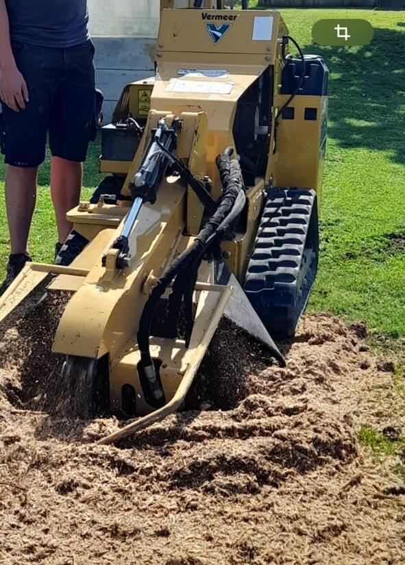 Wurzelstockfräsen – Berger Woodworks