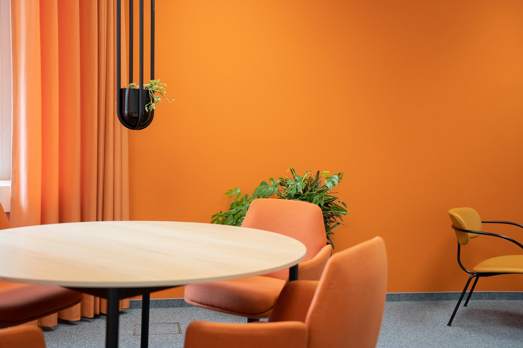 Orange meeting room at NFON with an orange wall and curtains, a round birch table, orange upholstered chairs, a black hanging planter and a mustard chair with black tubular frame.