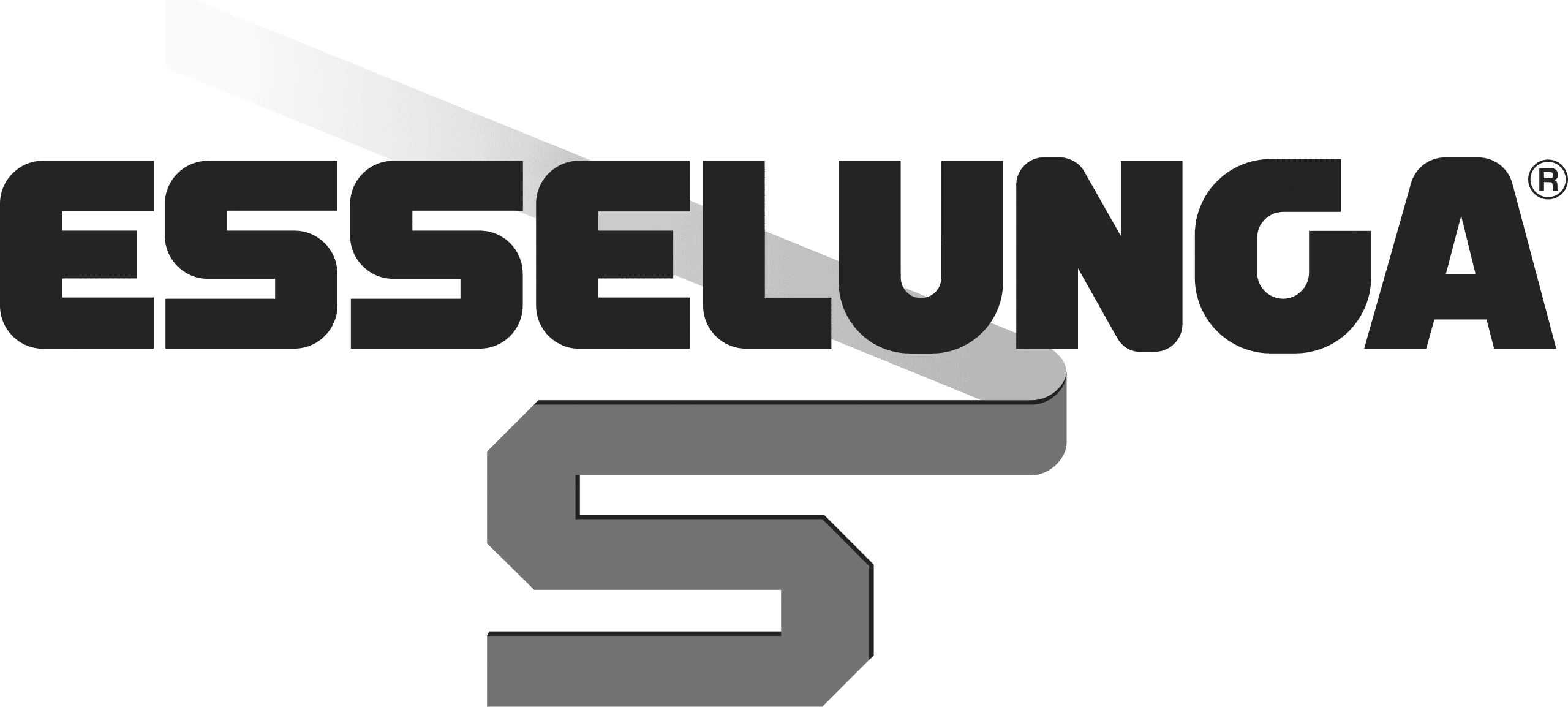 logo Esselunga