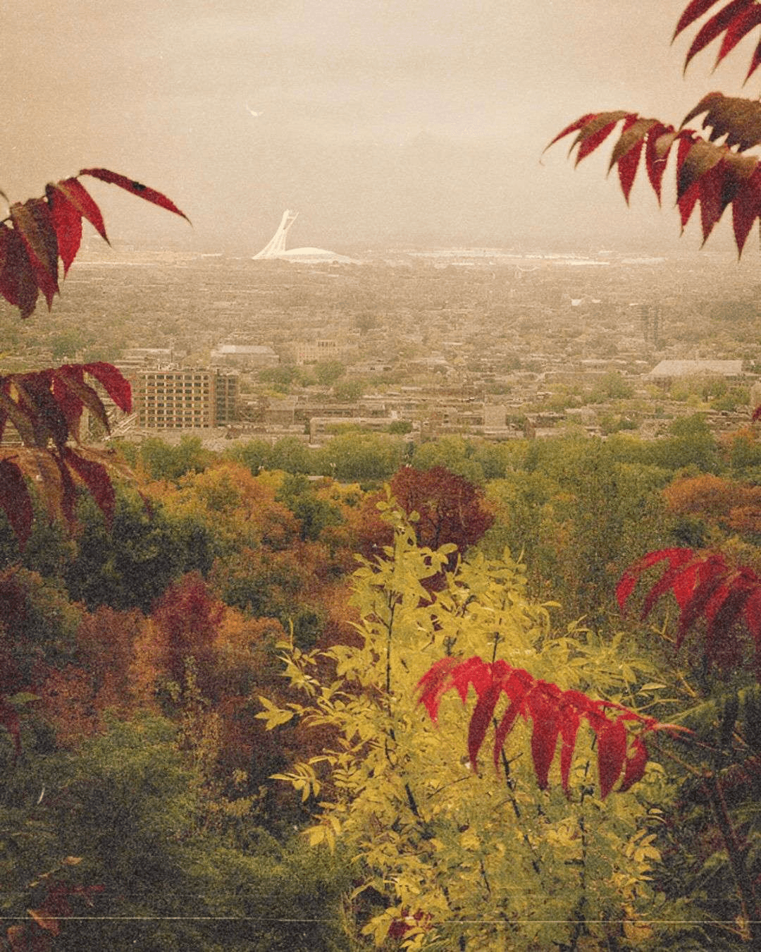 Montreal in the Fall