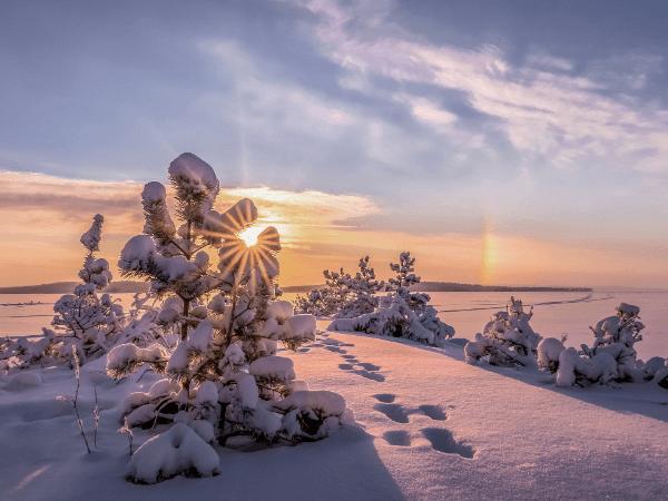Asko Kuittinen