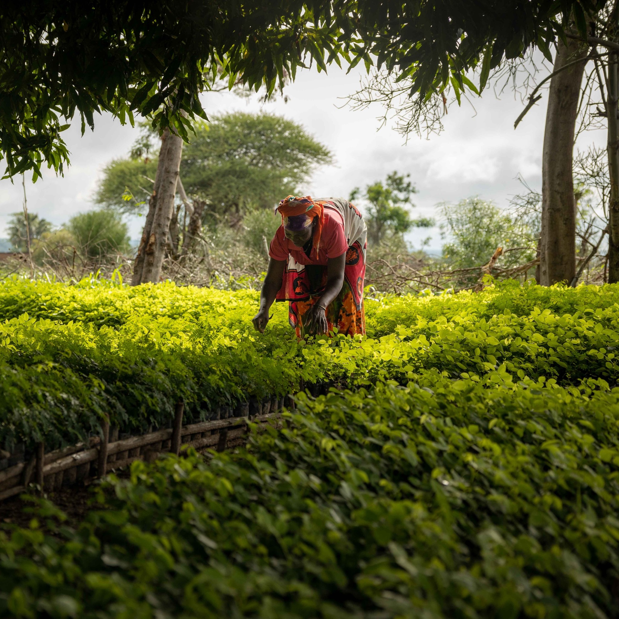 photography of people inside room during daytime