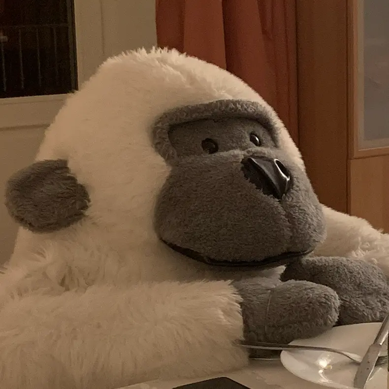 Photo de Jean-Singe, mascotte de La Jeance Team Building
