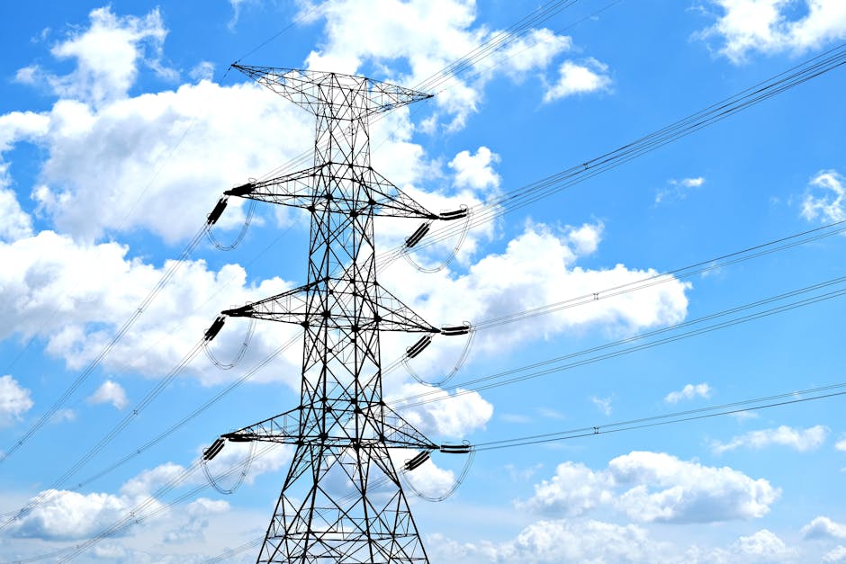 The power company that may soon control your electricity