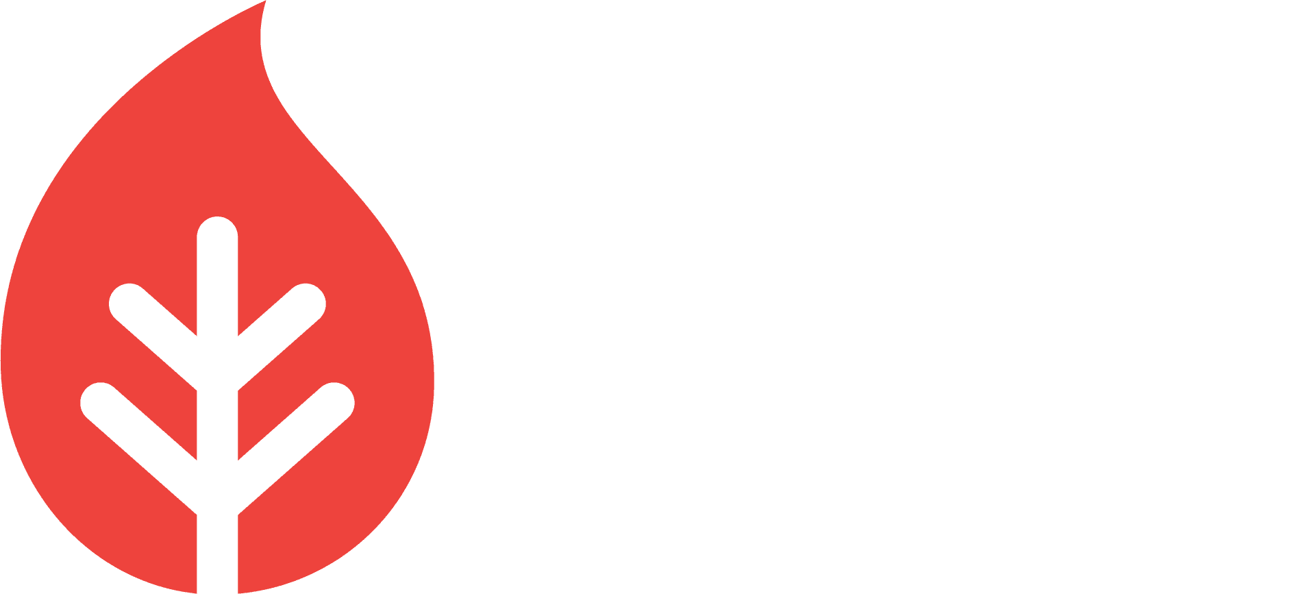 PyFi
