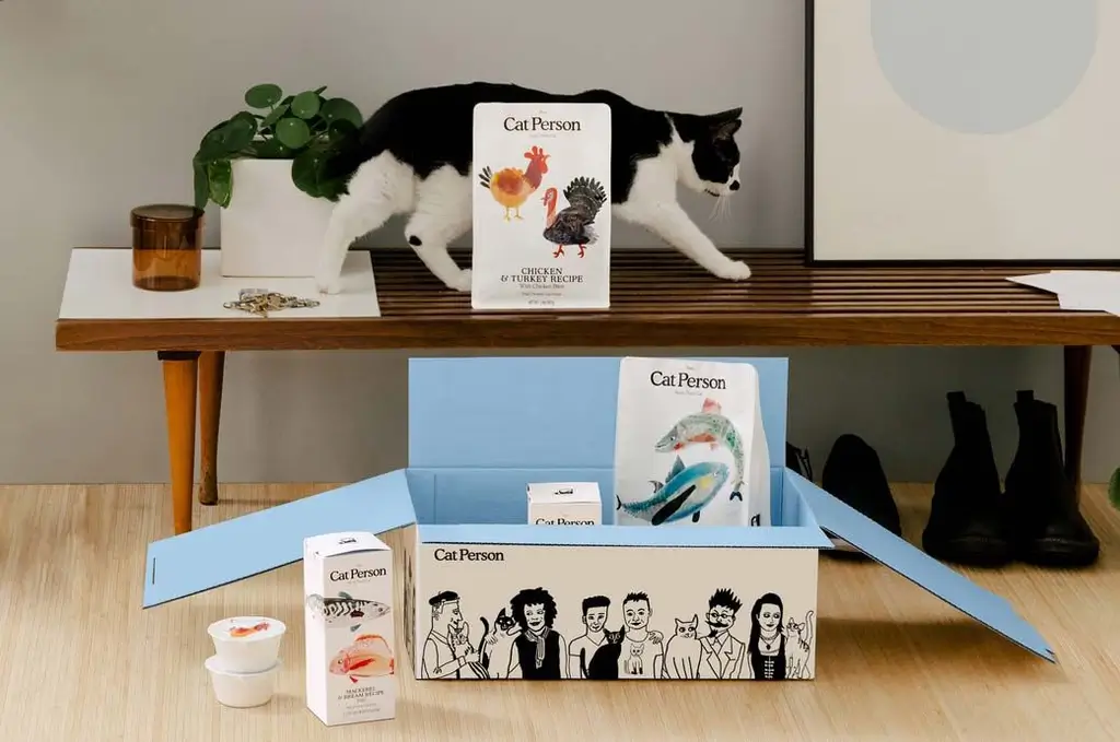 cat walking on table as also cat person card on table