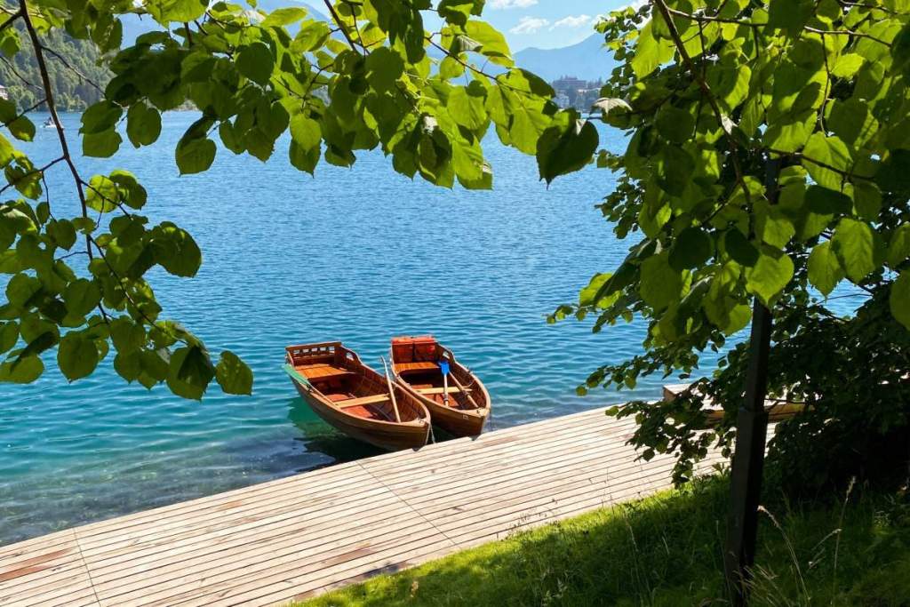 rowing boats on lake bled