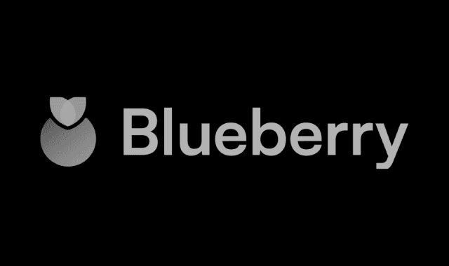 Blueberry