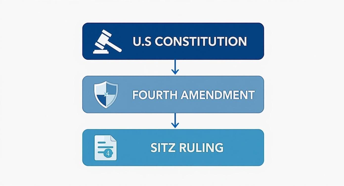 An infographic showing the hierarchy of DUI checkpoint legality, starting with the US Constitution, followed by the Fourth Amendment, and the Sitz Ruling.
