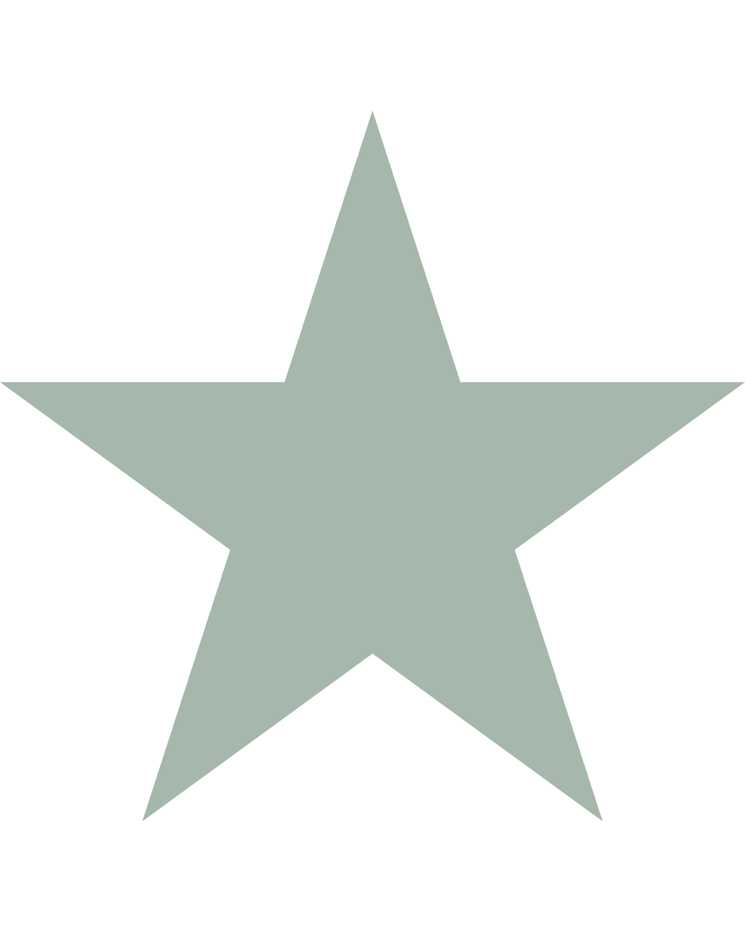 Star Icon