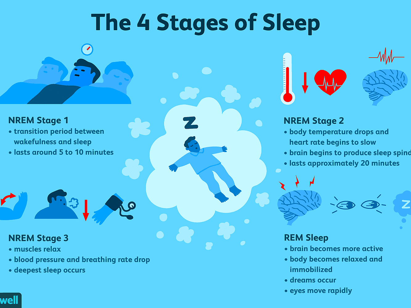 Non-REM and REM sleep stages across a full night sleep cycle