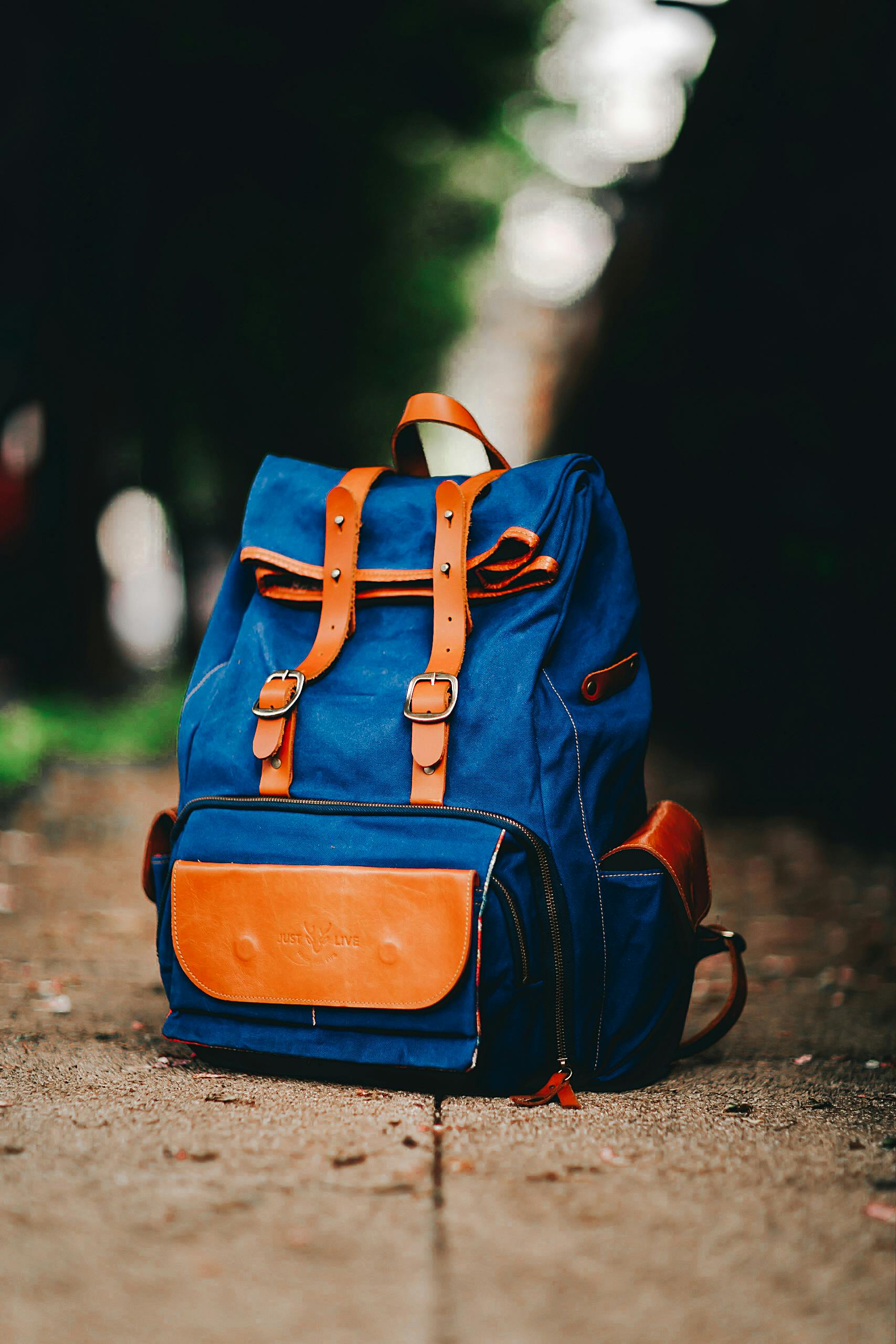 Blue and Brown Backpack