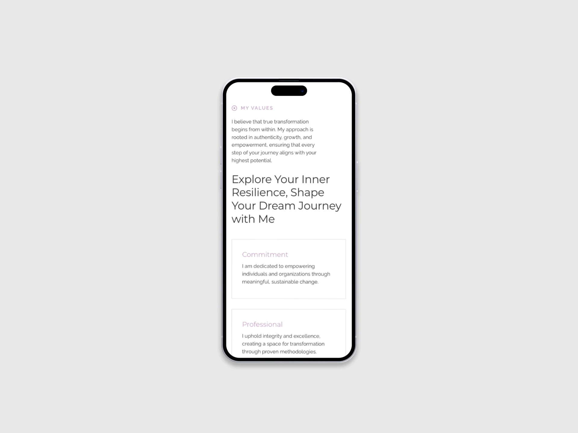 Nadine Ezzeddine Website Development by sareen masri