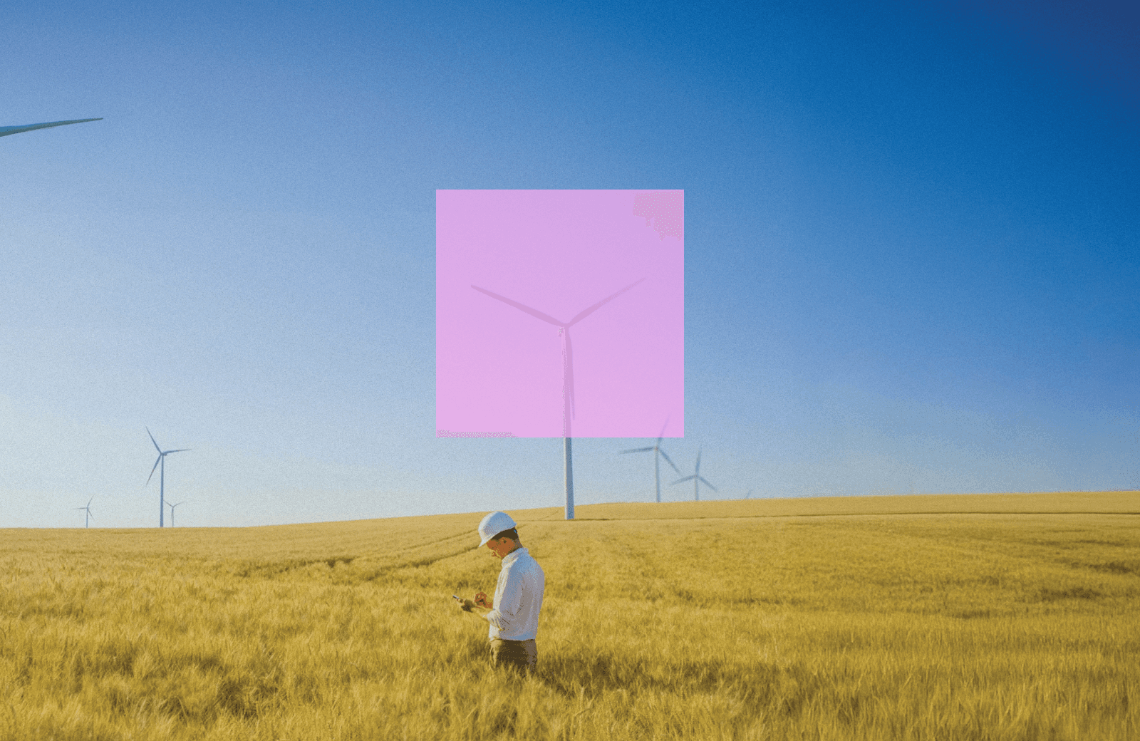 corona extra beer bottle on brown wooden log