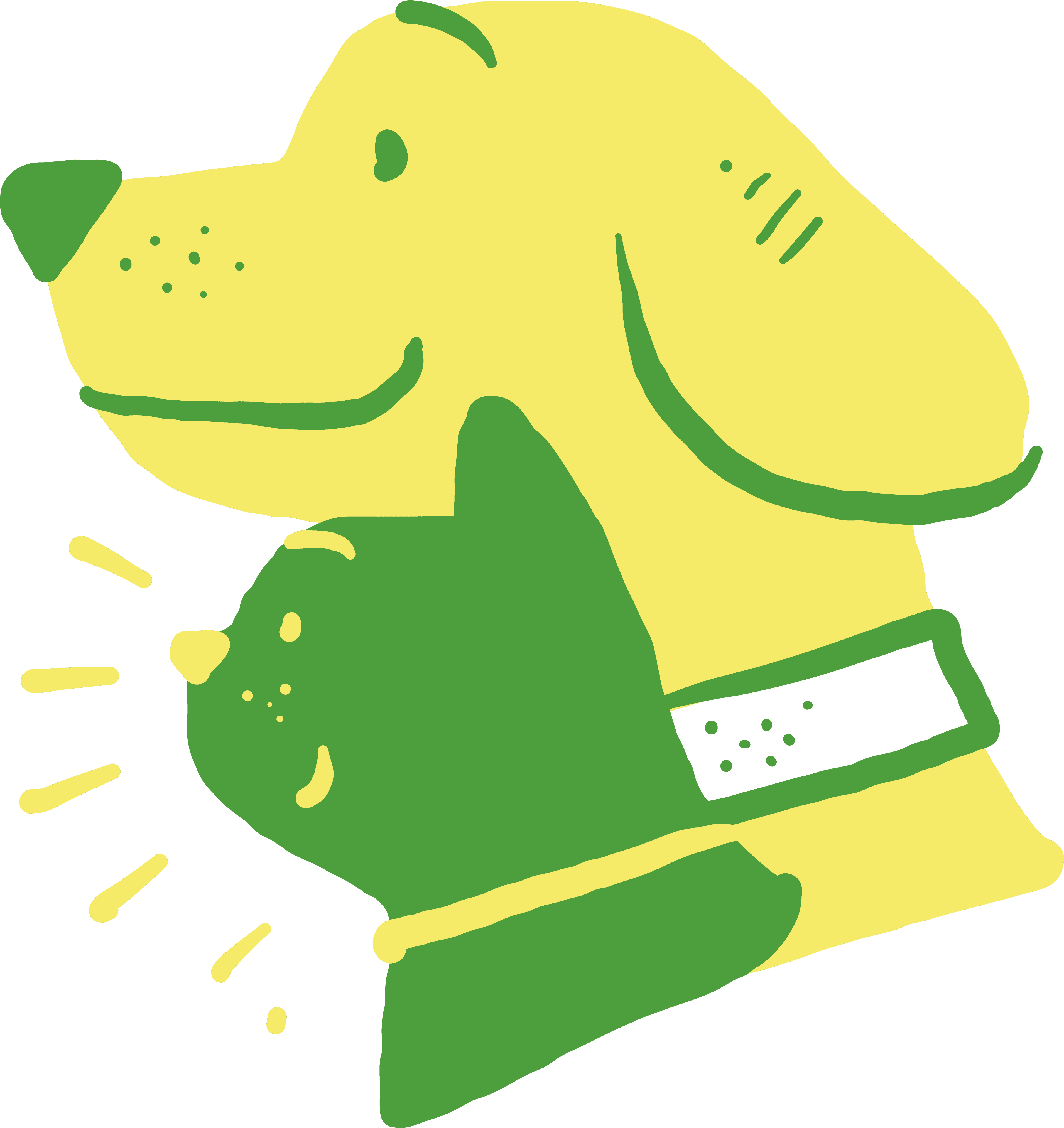 Dog and cat together