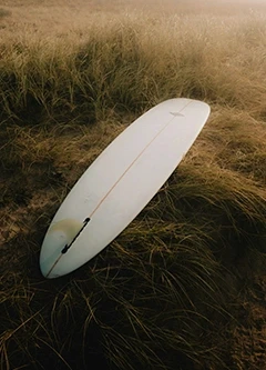 Longboard dans l'herbe