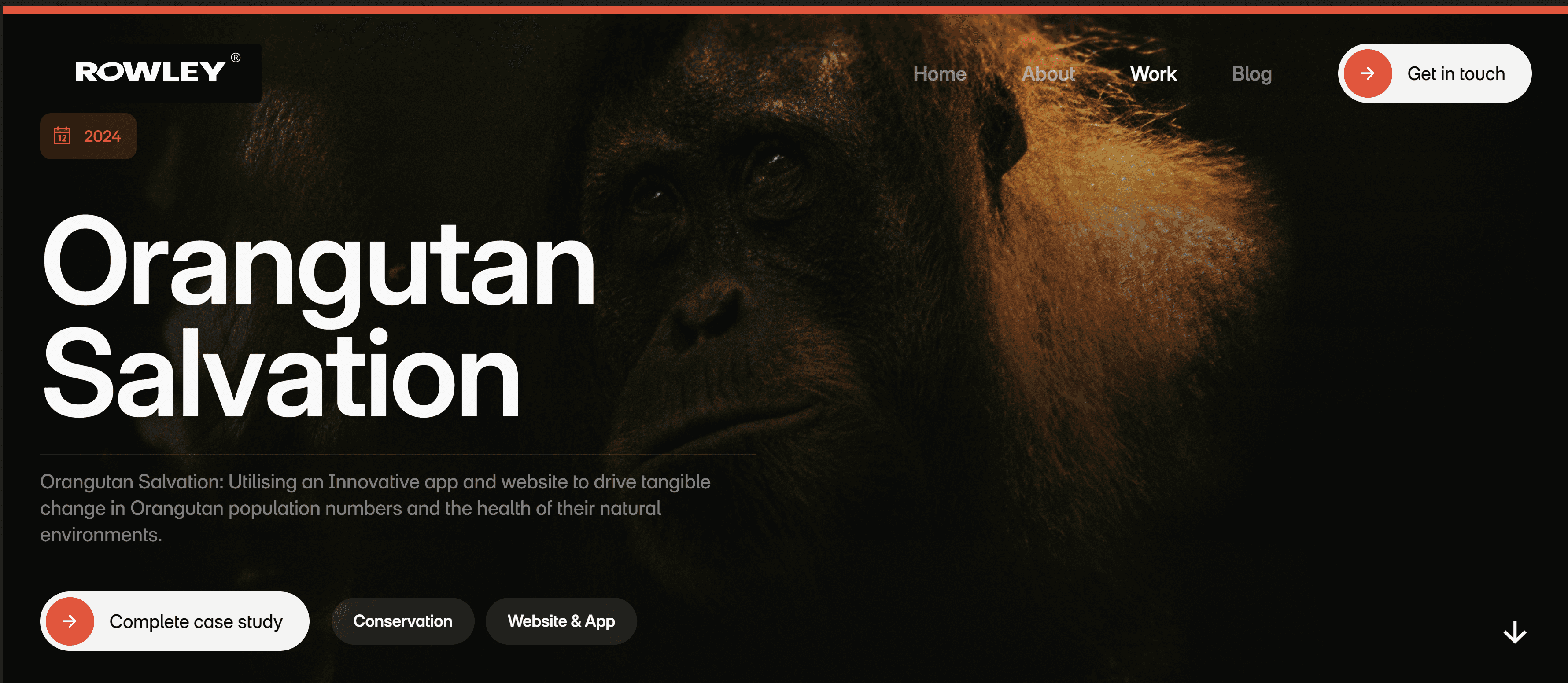 orangutan watch app image