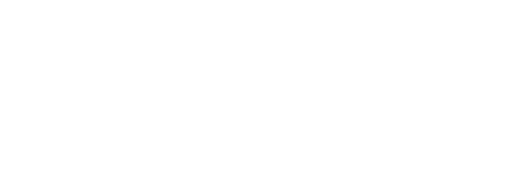 Assault fitness logo