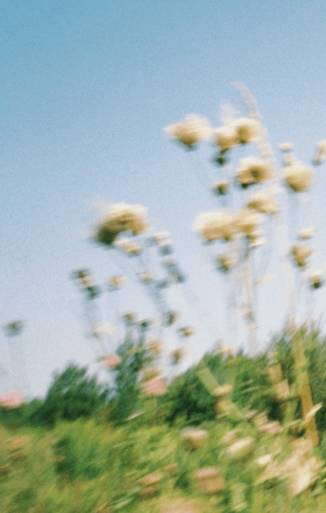 about slider image 4