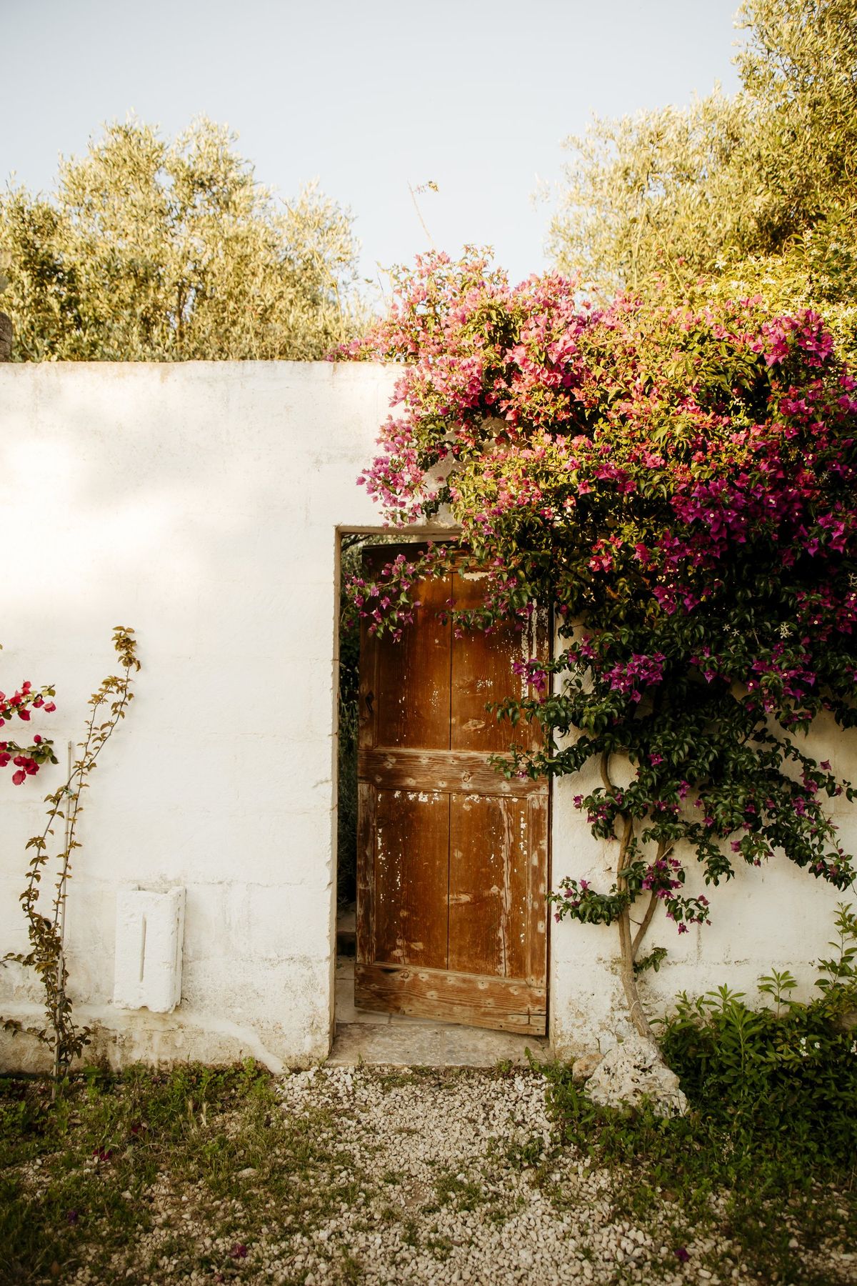 Tenuta in Puglia wellness retreat