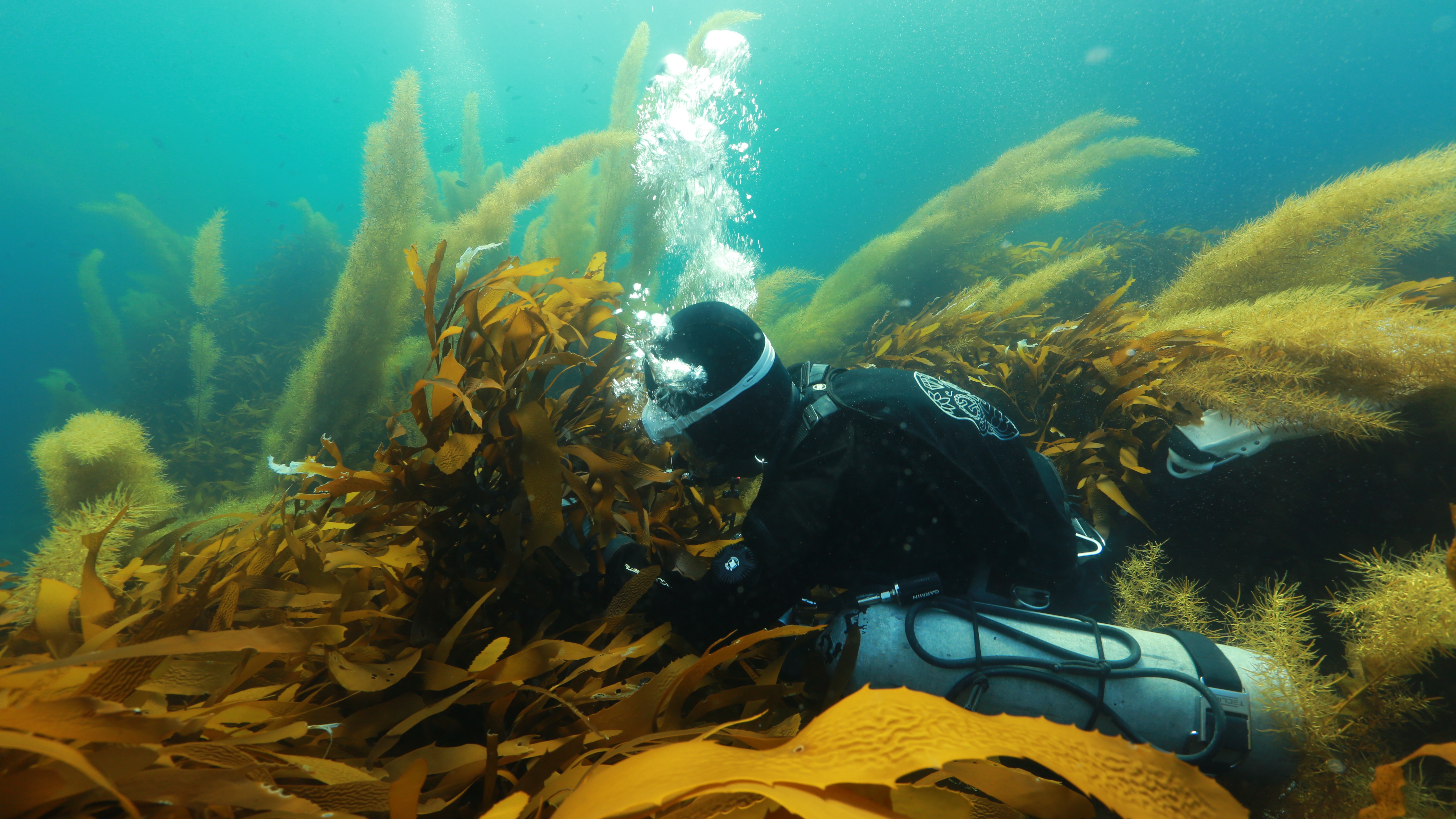 worker on laboratorium