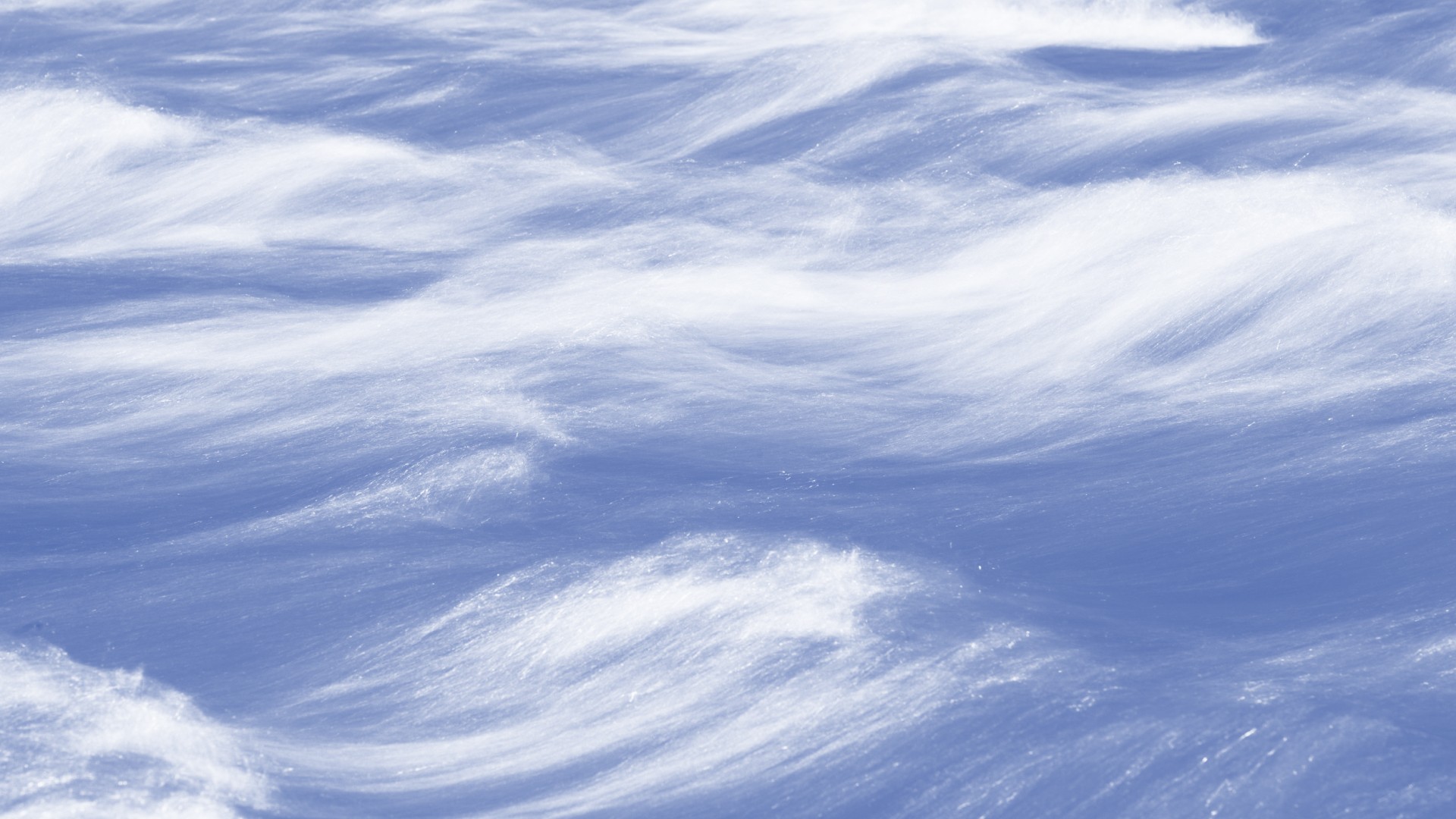 The image featured in the middle of the about us page