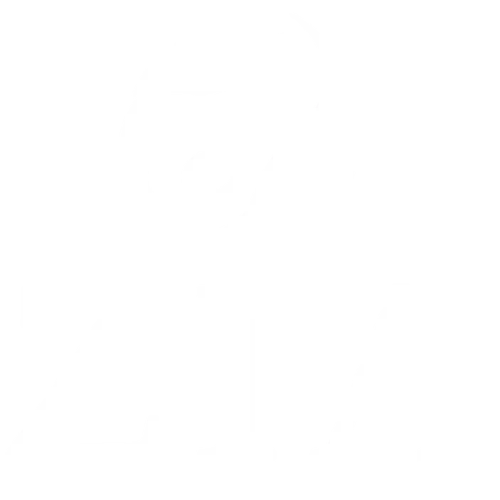 Ziacare & Pansyer | Case Study