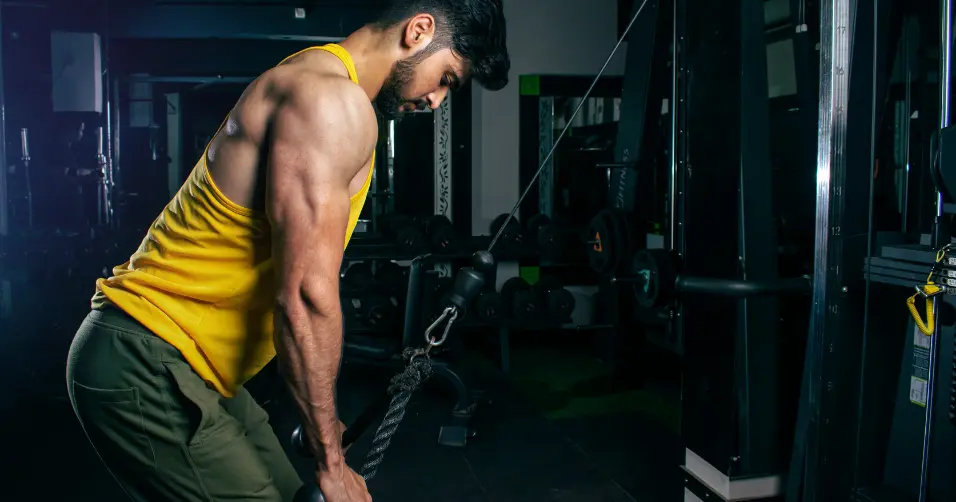 Ecdysterone is a plant-derived compound that may enhance muscle growth and strength.