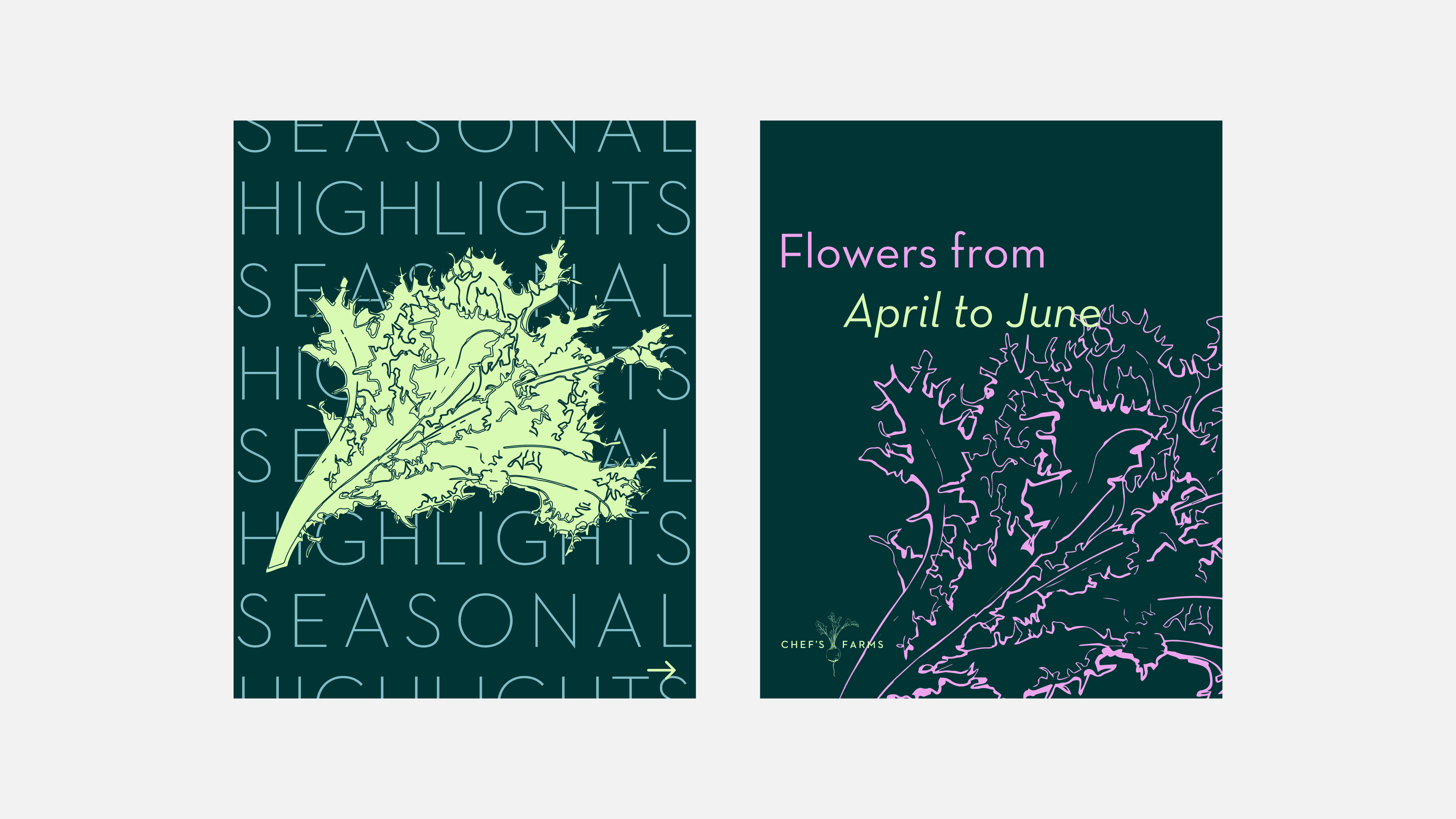 Chef's Farms – GEORGE COSBY STUDIO | Brand Worlds Built At Moments Of Change