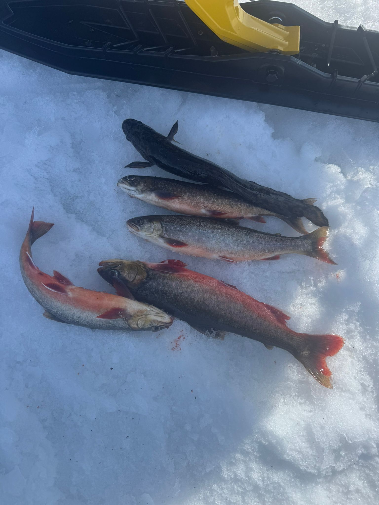 person surfing on sea waves during daytime