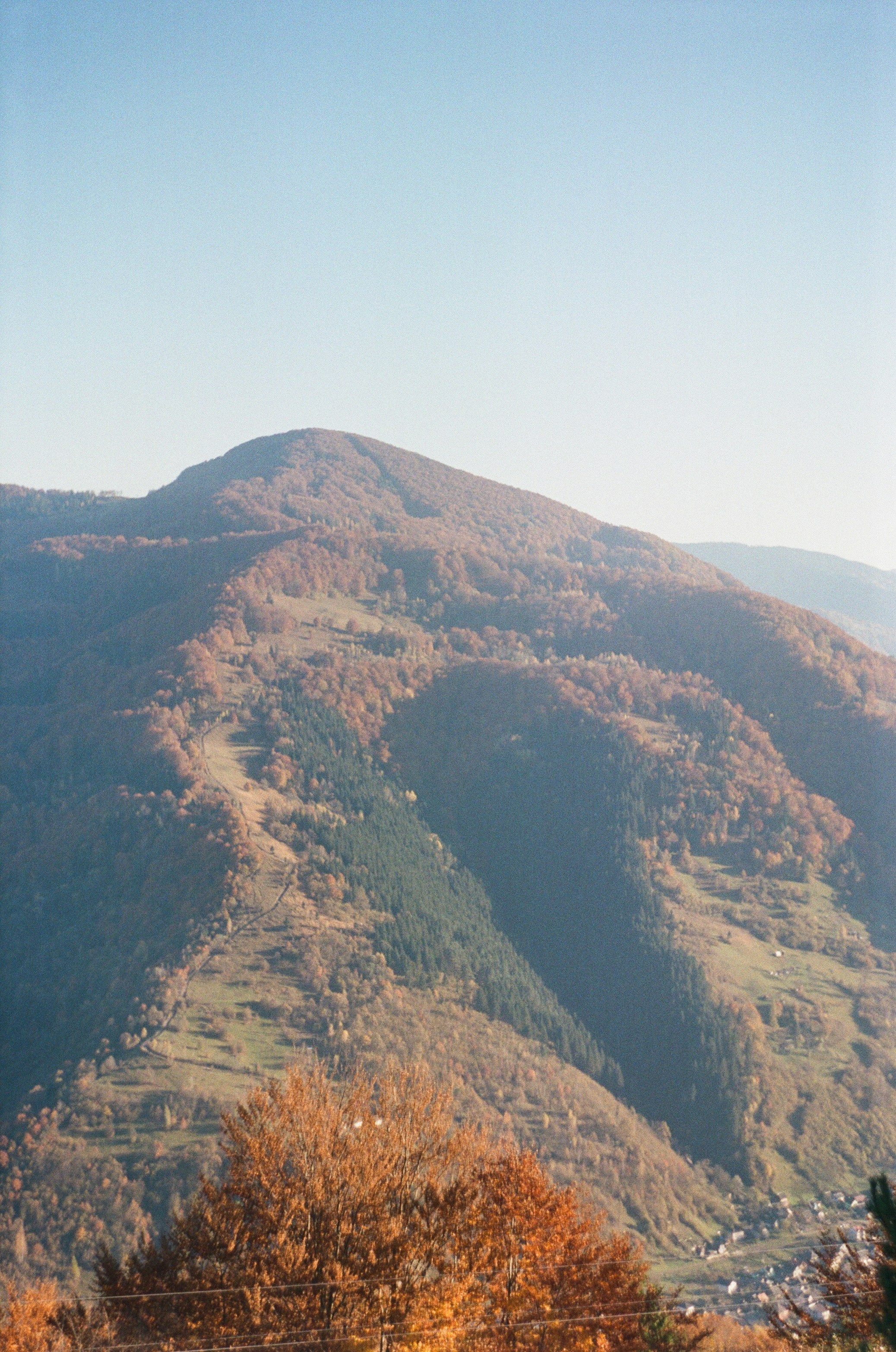 A view of a mountain with trees in the foreground