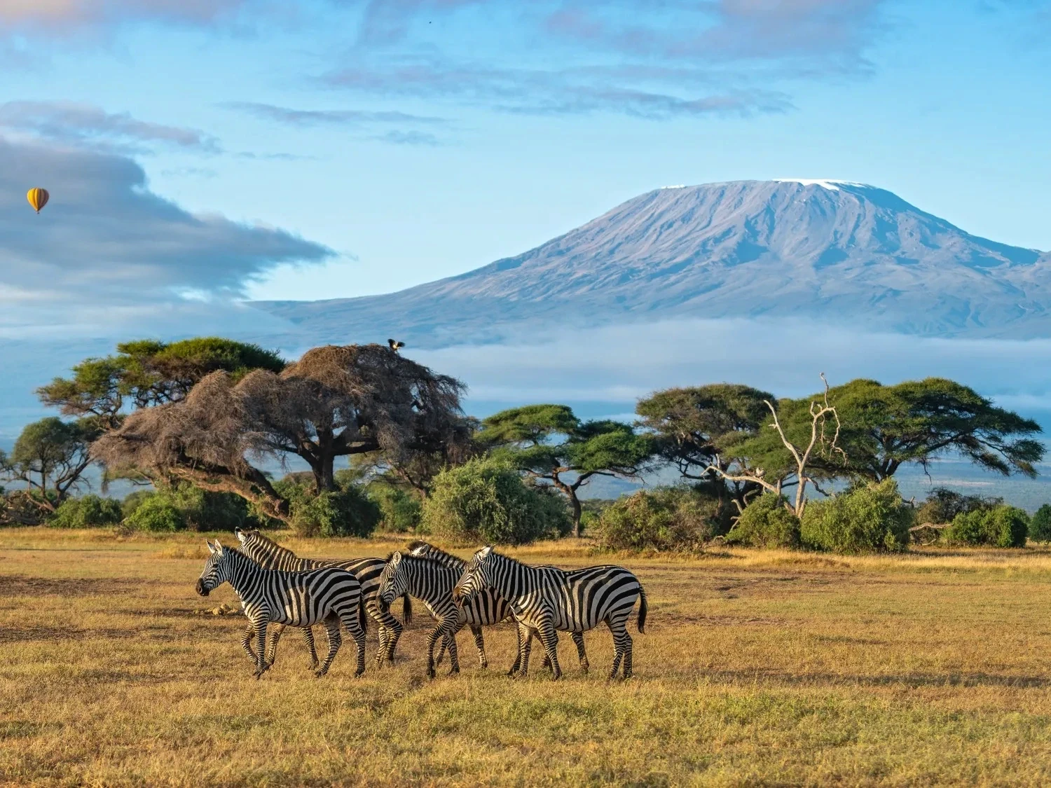 Kenya Masai Mara Tour Package
