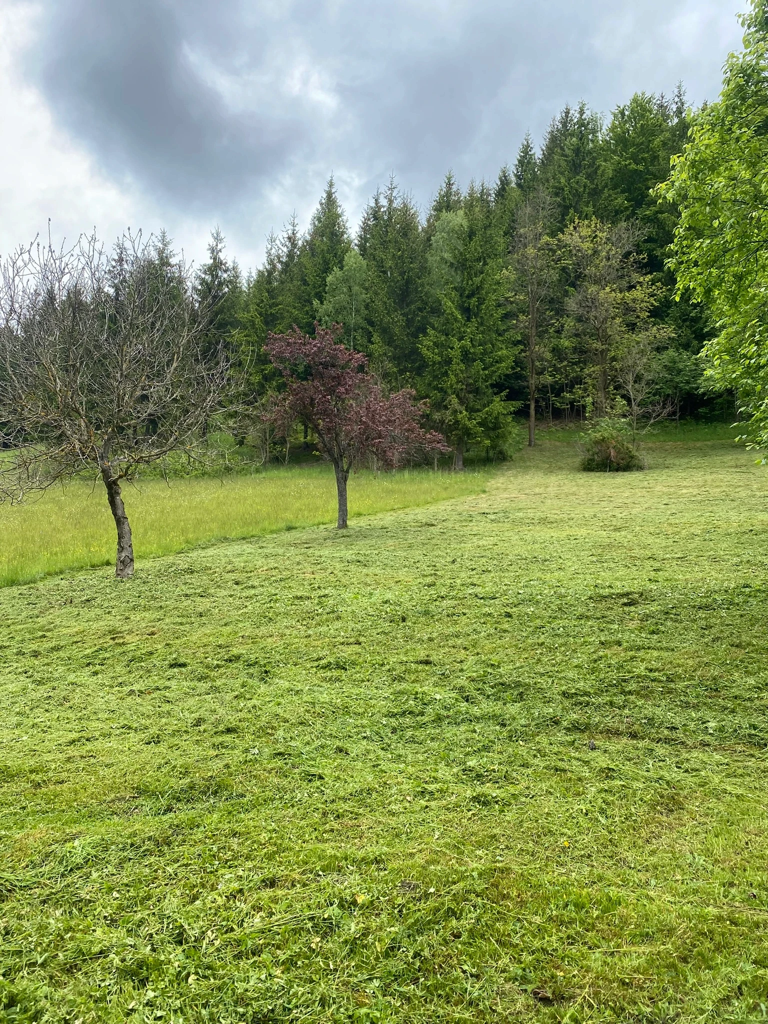 Seasonal planting